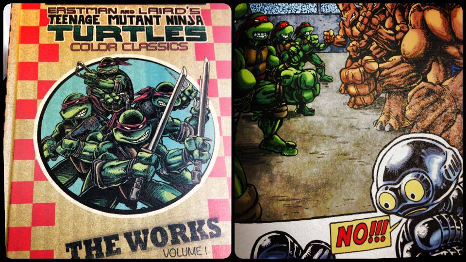 TMNT_book