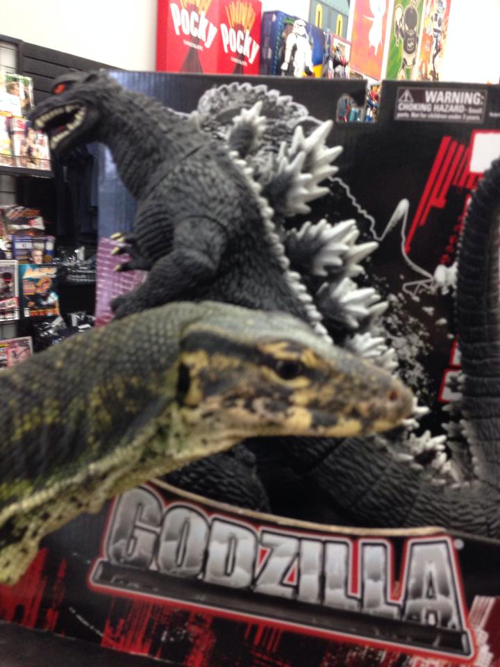 gojira